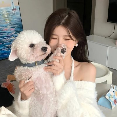 条约
