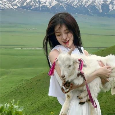 吉姆与卢克司机