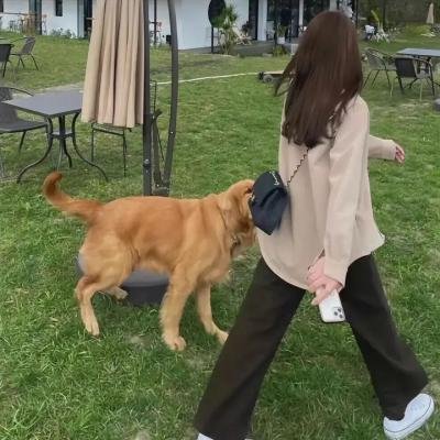 迪克·朗之死