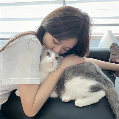 与鲨鱼游弋